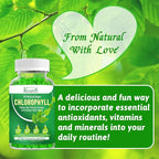Chlorophyll Gummies - Super Green 13 in 1 with Ashwagandha Vitamin C Zinc & Copper for Body Odor, Skin Energy Immune Support Deodorant for Women - 60 Count