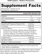 Pump-ocalypse Blueberry Pomegranate | Nitric Oxide, L Arginine Supplement | Citrulline Malate, GlycerPump | Ultimate N.O. Booster | Lean Muscle Support | Blood Flow, Vascularity, Hydration, Endurance