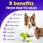 Dog Multivitamin Chewable with Glucosamine 26 in 1 - Dog Vitamins and Supplements - Senior & Puppy Multivitamin for Dogs - Pet Joint Support Health - Immunity, Mobility, Gut Skin - 120 Chews