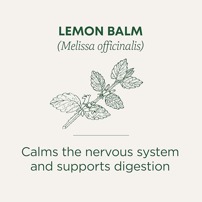 Traditional Medicinals Organic Lemon Balm Tea, Tea Bags | Herbal | Pack of 2 | 16 Count | Calming