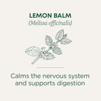Traditional Medicinals Organic, Lemon Balm - Supports Stress Relief & Digestive Health - Kosher, Non-GMO, Caffeine-Free, Compostable - 16 Tea Bags