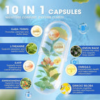 GABA Supplements 750mg with L Theanine, 5HTP, Ashwagandha, Lemon Balm, Ginkgo Biloba, Omega-3, 10 in 1 GABA Calm Capsules for Sleep, Relaxation, Focus, Mood Support, Cortisol Balance - 90CT
