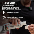 Cutler Nutrition Liquid L-Carnitine Fat Burner Supplement with Acetyl L-Carnitine & L-Carnitine Tartrate - Fat Burner Formula for Optimal Absorption, Energy & Muscle Support | Watermelon Flavor