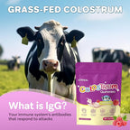 Colostrum Gummies, 1000 mg Grass Fed Colostrum Chews Colostrum Supplement for Gut Health, Hair Growth, Beauty, and Immune Support, Raspberry Flavor 60 Servings