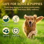Liquid Collagen for Dogs, Natural Dog Collagen for Skin & Coat Support, Immune Support, Joint & Mobility Care with MSM, Middle-Aged and Older Dogs (Bacon Flavor - 60ml)
