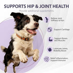 Joint Care Chews for Dogs-High Levels of Glucosamine, Green Lipped Mussels, Omega 3 and Turmeric - Hip and Joint Supplement for Dogs to Helps Ease Discomfort & Stiffness-150 Soft Chews