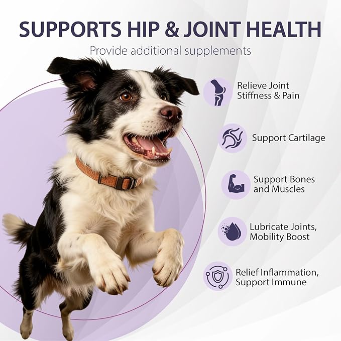 Joint Care Chews for Dogs-High Levels of Glucosamine, Green Lipped Mussels, Omega 3 and Turmeric - Hip and Joint Supplement for Dogs to Helps Ease Discomfort & Stiffness-150 Soft Chews