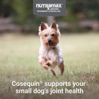 Cosequin Minis Soft Chews Maximum Strength with MSM Plus Omega3,45 Count (Pack of 2)