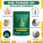 Mullein Gummies for Lung Detox, 2000mg Mullein Leaf Extract for Respiratory & Digestive & Immune Support w/Quercetin, Bromelain, Elderberry & Marshmallow, Vegan 120 Gummies (2 packs 120 gummies)