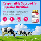 12-In-1 Beef Organ Supplement for Women - Beef Liver, Uterus, Kidney, Heart, Pancreas, 5 Vitamins & 2 Herbs, Hormone Balance, Menstruation, Energy, Immune - 100% Grass Fed, Pasture Raise - 120 Caps
