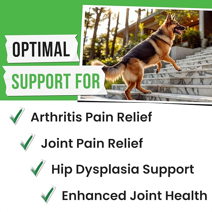 Glucosamine for Dogs - Joints Health Treats w/Omega Fish Oil - Natural Joint Pain Relief - Canine Hip and Joint Supplement w/Chondroitin + MSM + Turmeric + Calcium - 240 Beef Chews