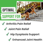 Glucosamine for Dogs - Joints Health Treats w/Omega Fish Oil - Natural Joint Pain Relief - Canine Hip and Joint Supplement w/Chondroitin + MSM + Turmeric + Calcium - 240 Beef Chews