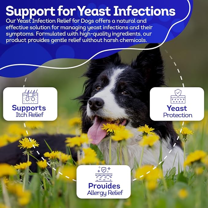 HealthyAnimals4Ever HA4E - Dog Yeast Protection - Homeopathic Support for Yeast Infections - All-Natural Preventive Care for Skin & Ear Health - 300 Tablets