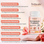 Menopause supplements for women, 120 Billion CFU Probiotic, 13-in-1 Herbs & Botanicals Complex, for Hormone Menopause, Hot Flashes, Night Sweats, Mood Swings, Sleep Disturbances, Vegan, 240 Capsules