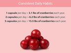 KOYAH - Organic Cranberry Capsules – Freeze-Dried Whole-Berry - 500 mg per Capsule - Urinary Tract Support & Antioxidant Support - 60 Capsules