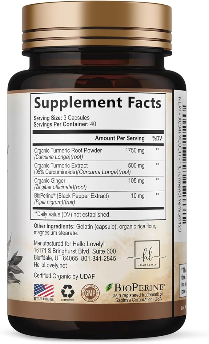 Turmeric Curcumin Supplement with 95% Curcuminoids, Organic Turmeric & Ginger 1750mg, BioPerine Black Pepper for Best Absorption, Nature's Vegan Joint Support, Non-GMO, Bottled in USA - 120 Capsules