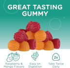 Chapter One Magnesium Gummies, Great Tasting Magnesium for Kids, Calm Kids Magnesium, Magnesium Gummies for Women and Men, Raspberry and Mango Flavored, Certified Kosher, (60 Flavored Gummies)