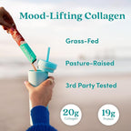 Further Food Chocolate Collagen Peptides Powder with Reishi Mushroom - 100% Grass-Fed, Hydrolyzed Type 1 & 3, 20g of Collagen per Serving, Supports Skin, Hair, Nails & Joints, Stick Packs, 9.74 Oz