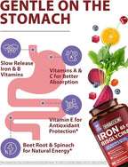 Iron Supplement for Women & Men, 65mg Ferrous Bisglycinate Chelate, Slow Release Iron with Vitamins A C E B6, B12, Folate, Organic Spinach & Beet Root Powder, for Blood Flow & Energy Support, 90 Caps