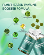 Chlorophyll Gummies for Body Odor Sugar Free, Internal Deodorant Supplement for Women/Men with ACV Chlorella Spirulina Vitamin D, Vegan Immune & Digestion Support Gummies