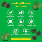 Kwala Nutrition Super Greens Gummies - with Moringa, Spirulina & Chlorella - Made in USA - 60 Gummies - 30 Day Supply