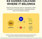 Vitamin D3 K2 Liquid Drops - Liquid Vitamin-D3 2000 IU Per Drop with K2 Supplements for Adults & Kids - Vitamin D K2 MK7 for Healthy Bones, Heart & Immune - 1 Oz Dropper + 900 Days Supply