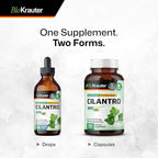 BIO KRAUTER® Cilantro for Detox Cleanse - Vegan Cilantro Capsules (Coriander Leaf Powder) 800 mg per Serving - Natural Detox & Antioxidant Supplement - 100 Capsules, Non-GMO Herbal Supplements