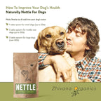Nettle Tea Organic (100 Tea Bags) - Stinging Nettle Leaf TeaBags (Urtica Dioica) - Te de Ortiga Verde Organica - Support Digestion, Fluid Balance, Kidney, Skin, Hair