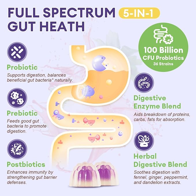 Totaria 2 PCS Sugar Free 5-in-1 Probiotic Prebiotic Postbiotic Gummy, 36 Strains Probiotics for Women Men with Digestive Enzymes, Peppermint, Complete Immune, Gut & Digestive Support, Grape Flavor