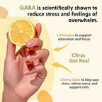 PYM Citrus Mood Chews Support for Stress, Worry & Overwhelm, 60 Count | 130mg GABA, 90mg L-Theanine | Vegan, Non-GMO, Gluten-Free, No Added Sugar | All-Natural Mood Balance Supplement Made in USA