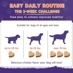 3g 90 Count Hip & Joint Supplement for Dogs with Undenatured Type II Collagen, MSM, Green Lipped Mussel, Glucosamine, Chondroitin Support Mobility, Chicken Flavored Soft Chews