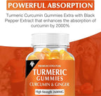 Turmeric Curcumin Gummies (6 Pack) - Turmeric Curcumin Supplements with Ginger & Black Pepper Gummies for Immune Muscle Support Healthy Skin - Vegan, Gluten Free, Low Sugar - for Adults