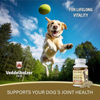 Veddelholzer Dog Joint Supplement Tablets – Hip & Joint Support with Glucosamine, Chondroitin, MSM & Turmeric – Mobility, Flexibility & Comfort Aid for Large & Small Breeds – Vet Recommended