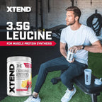 Xtend Original BCAA Powder, 7g BCAAs and 2.5g L-Glutamine for Muscle Recovery Hydration and Lean Muscle, Sugar Free Intra and Post Workout Drink with Electrolytes, Knockout Fruit Punch, 30 Servings