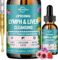 Liposomal Lymphatic Drainage Drops, Liver Cleanse Detox & Repair Liquid Supplement with Milk Thistle, Dandelion, Burdock Root & Echinacea - Lymph & Liver Detox, Antioxidant, Strawberry Flavor 2 Fl Oz
