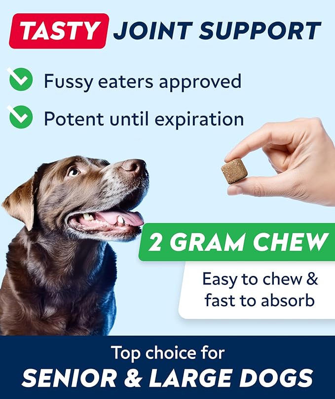 Glucosamine Treats for Dogs - Hip & Joint Supplement w/Omega-3 Fish Oil - Chondroitin, MSM - Advanced Mobility Chews - Joint Pain Relief - Hip & Joint Care - Bacon Flavor - 180 Ct - Made in USA