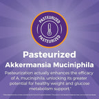 NewRhythm Akkermansia Muciniphila for Women & Men 200B TFU, Naturally Increase GLP-1 Metabolism Booster Gut Lining Repair, Cranberry Blueberry Pomegranate Extracts, Vegan, 60 Caps