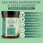 Sea Moss Gummies 16-in-1, with Black Seed Oil, Ashwagandha & Elderberry | Organic Irish Sea Moss Supplement for Men & Women | Daily Support with Manuka, Burdock Root & Vitamins C & D3, 30 Gummies