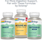 SOLARAY Pancreatin 1300, Pancreatic Digestive Enzymes with Protease, Amylase and Lipase, Plus Papain - Digestion Health Support, Lab Verified, 60 Day Guarantee, 90 Servings, 90 VegCaps