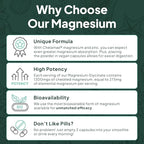 Organics Ocean Pure Magnesium Glycinate with Zinc - Maximum Strength Chelated Magnesium Supplement for Women and Men for Muscle Cramps and Sleep Support - 3 Bottles