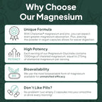 Organics Ocean Pure Magnesium Glycinate with Zinc - Maximum Strength Chelated Magnesium Supplement for Women and Men for Muscle Cramps and Sleep Support - 6 Bottles