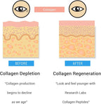 Research Labs 2 for 1 Promo 240 Collagen Pills - 6000 mg Per Day. Grass Fed Anti-Aging Support for Skin, Joints, Tendons, Bones, Hair and Nails. Paleo Friendly. Collagen Peptides Powder Supplement…