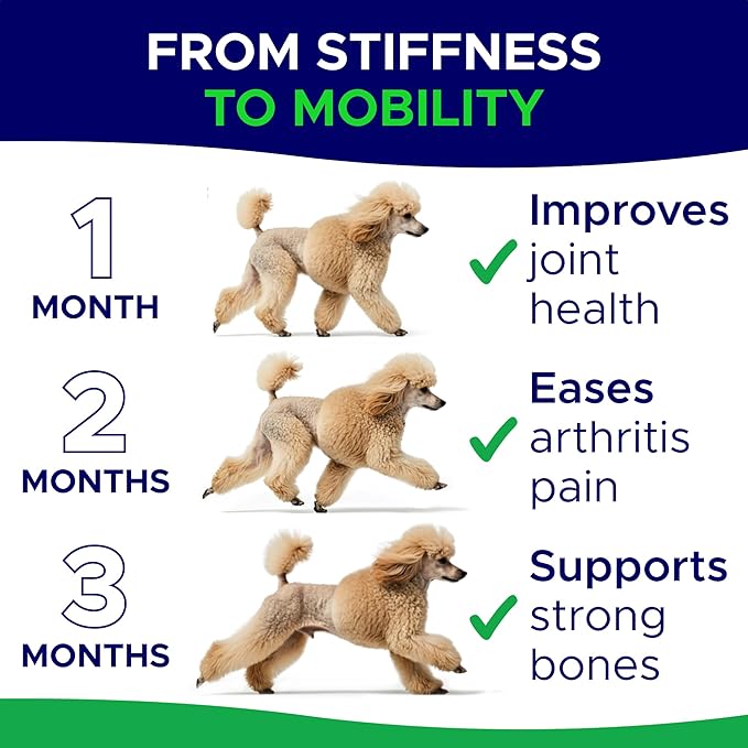 Glucosamine for Dogs Hip & Joint Supplement - Chondroitin, Omega-3, MSM - Joint Health & Pain Relief - Senior & Large Dogs - Made in USA - 120Ct