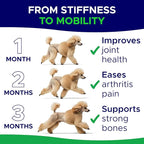 Glucosamine for Dogs Hip & Joint Supplement - Chondroitin, Omega-3, MSM - Joint Health & Pain Relief - Senior & Large Dogs - Made in USA - 120Ct