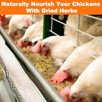MAQIHAN 20oz Chicken Nesting Herbs - Dried Natural Herb Blend for Laying Hens,Coop Odor Control & Egg Production Support,All-Natural Poultry Feed Supplement for Chickens,Ducks (Vacuum Packed)