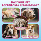 Collagen for Dogs Joint Health, Grass-fed Dog Collagen Drops with Omega 3, Vitamin C for Skin & Coat, Dog Hip and Joint Supplement with Glucosamine, Chondroitin, Hyaluronic Acid-Bone, Immune-2 Fl