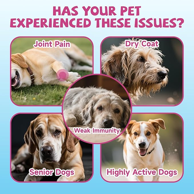 Collagen for Dogs Joint Health, Grass-fed Dog Collagen Drops with Omega 3, Vitamin C for Skin & Coat, Dog Hip and Joint Supplement with Glucosamine, Chondroitin, Hyaluronic Acid-Bone, Immune-2 Fl