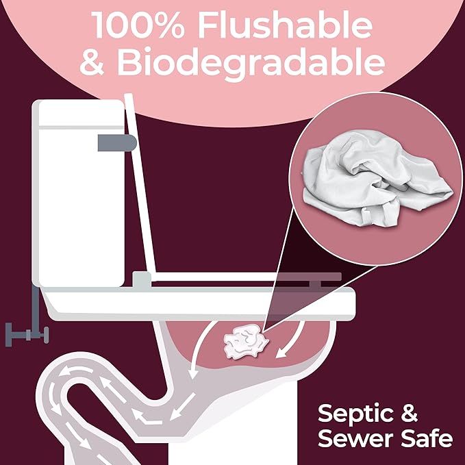BOOTY WIPES Flushable Wipes Women - 320 Total Count (4 Packs of 80) Wet Wipes for Adults - pH Balanced Feminine Wipes with Aloe and Vitamin E - Gentle Cleansing Female Toilet Wipes for Sensitive Skin