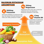 Potassium Gummies 1000mg, Maximize Absoption Blend with Vitamin B6 Magnesium, Potassium Citrate Supplement for Adults, Sugar Free, 60 Count