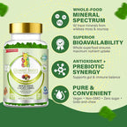 Sea Moss & Soursop Gummies - Organic Irish Sea Moss, Sour SOP Multivitamin, Soursop Bitters, Seamoss & Sea Grapes | Vegan, Sugar-Free (120 ct) | Gummy Bares